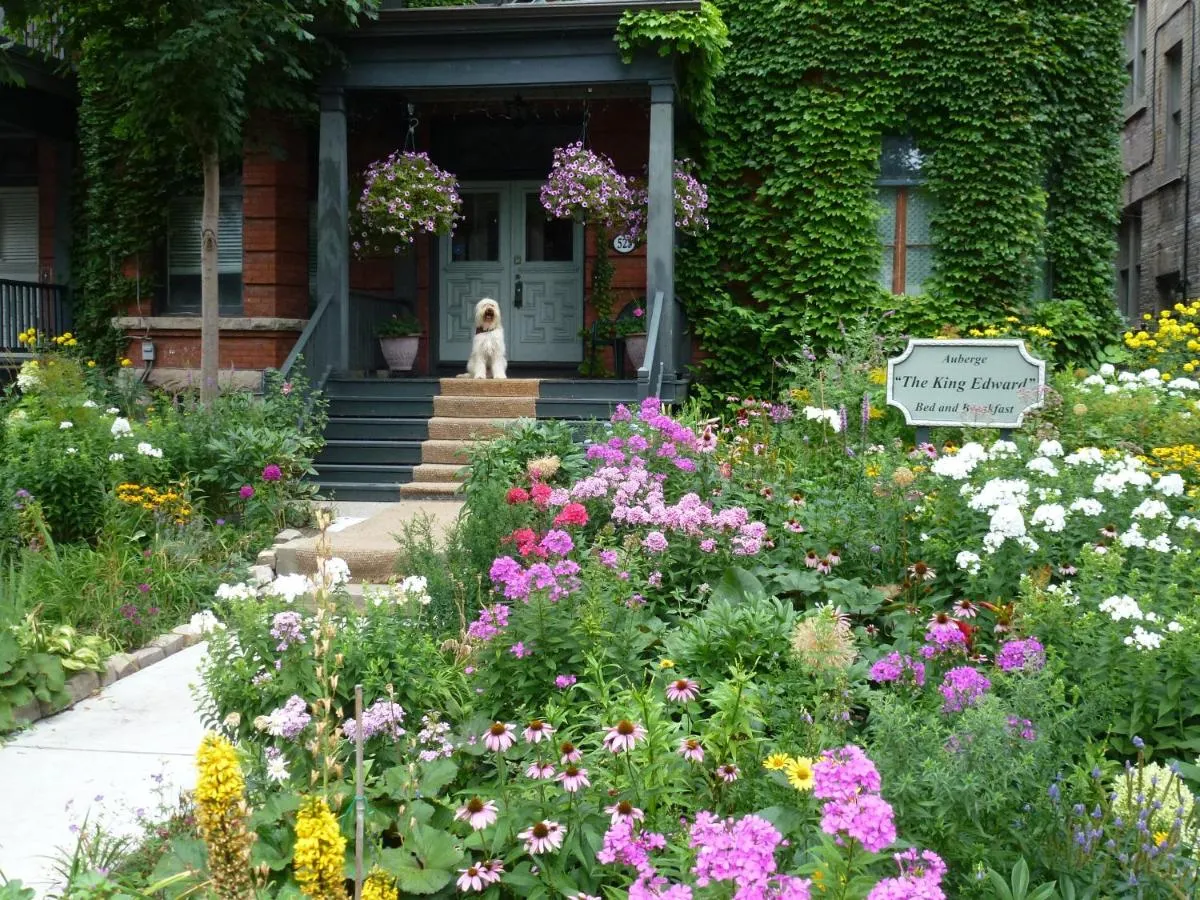 Image 2 of Auberge King Edward Bed and Breakfast