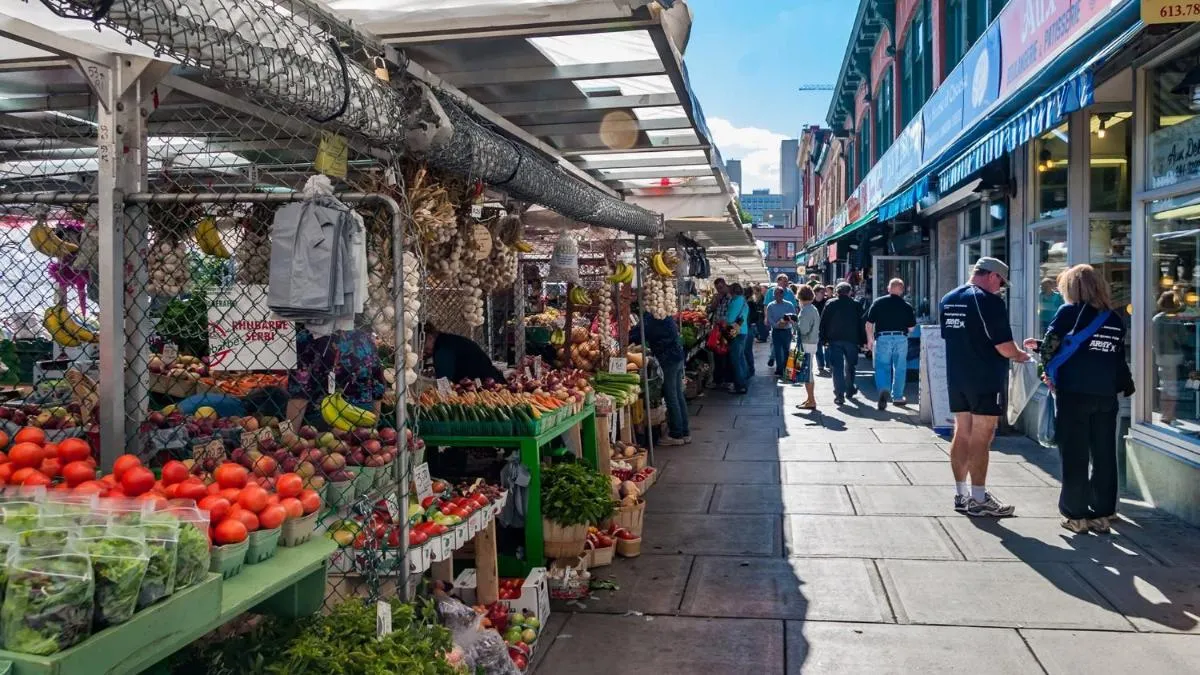 Image 5 of Pet-Friendly – Near University & Byward Market