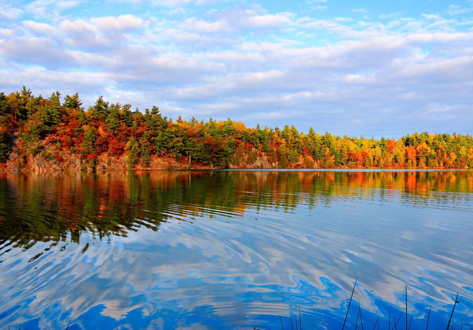 Gatineau Park